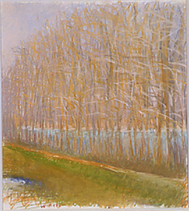 Wolf Kahn, Trees Along the Delaware, Cornell Fine Arts Museum, Rollins College