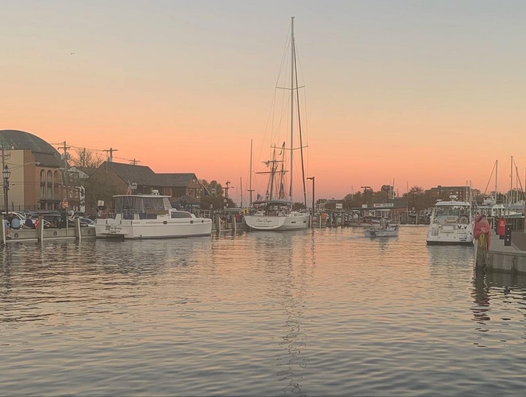 Pink and orange sunset on the water with various sailboats docked