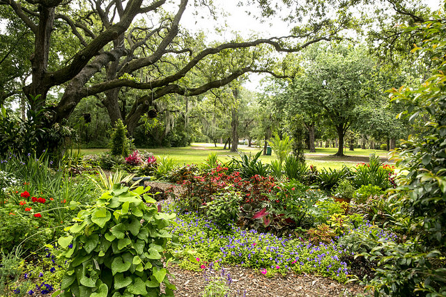 Orlando, Mead Arboretum